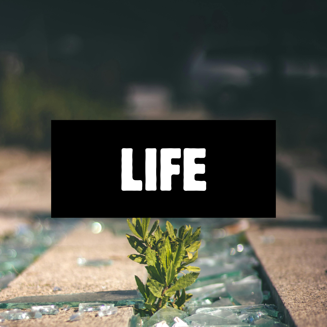 Life