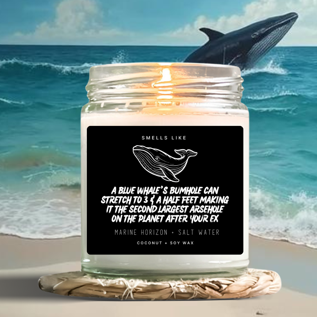 A Blue Whale's Bumhole Can Stretch To 3 & A Half Feet Making It The Second Largest Arsehole On The Planet After Your Ex Candle